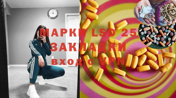 винт Абаза