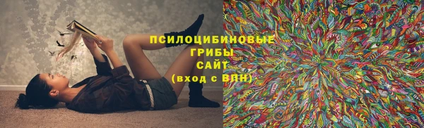 винт Абаза