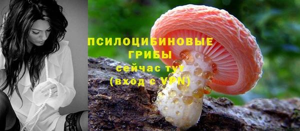 гидра Абдулино