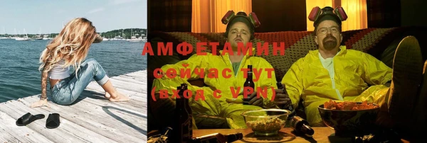 винт Абаза