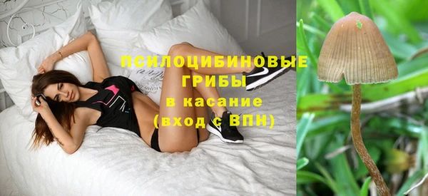 винт Абаза