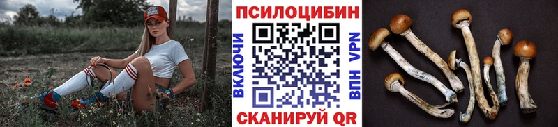 ОМГ ОМГ зеркало  Юрюзань  Псилоцибиновые грибы прущие грибы 